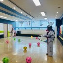 용인대 정도 태권도장 2관 이미지