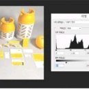 디자인레전드 이미지