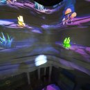 영월동굴생태관 이미지