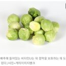 효자식품 이미지