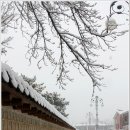 서설(瑞雪)이 내린 수로왕릉[首露王陵]을 찾아서 이미지