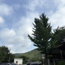 빌라드 아바 이미지