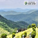 평장 | [안치 후기 - 272] 잔디평장, 대구수목장 대구신세계수목장