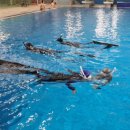 학생수영장 이미지