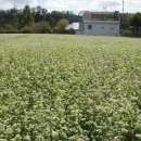 청통면종합복지타운 이미지