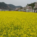 상맹방1리마을회관 네이버블로그