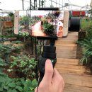 스마트폰 영상편집 캡컷 이미지