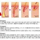 고운님여성의원 이미지