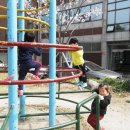 장천공원 Daum카페