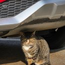 고은농장 | [익산 함열읍 고스락] 나만 몰랐던 익산 핫플 고스락｜전통이 이렇게 힙할 줄이야