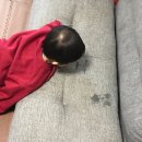 정신을 차려보니 사와무라 엄마가 됨.(다이아몬드 에이스 후기 - 1 )