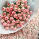 이솔라 | 기념일에 방문한 분위기 좋은 이솔라 레스토랑(이솔라 스페셜코스 후기)