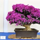 중화고등학교 이미지