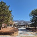 주흥17길 25 (4) | 울산 북구 매곡동 돈카츠 맛집 톤진 내돈내산 후기