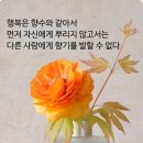 2026.5.8(금) 연합뉴스, 2026.5.11(월) 동아일보 이미지