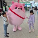 안동에서 개최한 ＜제 21회 대한민국청소년박람회＞ 임동초등학교 참가 이미지