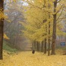 인천시립박물관 이미지