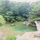 포시즌밸리계곡애견펜션 이미지