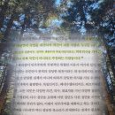 넥서스 책 | 유발 하라리 책 후기 | 달콤한 포퓰리즘 봉투 그 뒤에 남겨진 진짜 청구서 추천 리뷰 핵심...