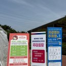 새울마을회관 | 울산 장미축제 다녀온 후기, 장미축제 입장권 가격, 축제 콘서트 가수 정보