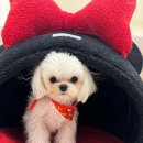 맘에든유치원 이미지