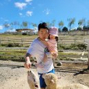 보미목장 이미지