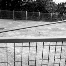 임대길농장 이미지