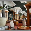 하이얏트 이미지