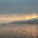 나란히 흐르다 이미지