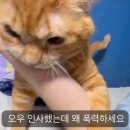 야 이미지