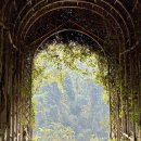 홈플러스 남양주진접점 이미지