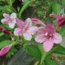 부평공원 이미지