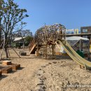 아이올레인포레스트