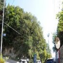 남북리 경로정 이미지