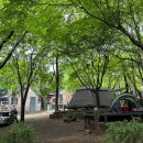 월출산기찬묏길 오토캠핑장 | 영암 월출산오토캠핑장 – ★4.2 · 트래킹 캠핑