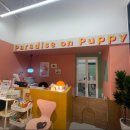 멜로멍스 이미지