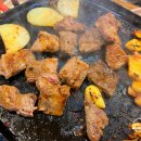 돼지들의이야기 이미지