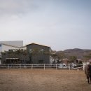 승마클럽 영풍 이미지