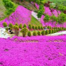 동산잔디 이미지