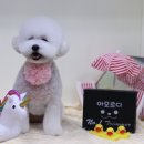 영아미용 이미지