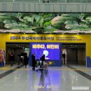 김쐥 | 2024 부산아동국제도서전 방문 후기 / 벡스코 / 24.11.28-12.01