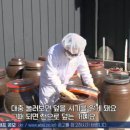 콩익는 분토 이미지