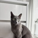 관산1길 이미지