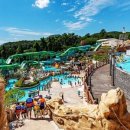 스플라스리솜 이미지