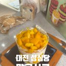 시루향 | 대전 성심당 망고시루 판매기간 2026 출시 DCC점 웨이팅 주차 가격 맛 후기 총정리