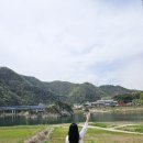 도담정원 | [단양] 도담정원 도담행복마을 26년 4월 방문 기준...×가지 마세요× feat. 도담삼봉만 보고 온 후기