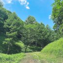 강림목장 이미지