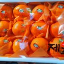 과일사랑 - 파주시 월롱산로 38 | 과일사랑