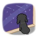 언니네 애견미용실 이미지