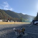 금산청소년수련원 | [충청남도 금산] 넓고 조용한 금강 뷰 차박 &#34;금산청소년수련원캠핑장&#34;